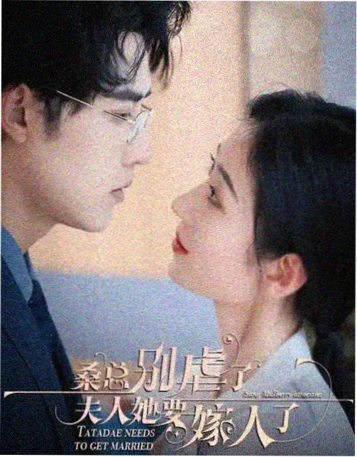 久久久国产一区二区 经典 红楼梦
